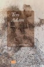 Ters Adam