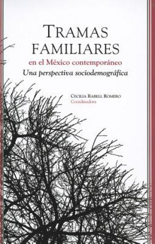 Tramas Familiares En El Mexico Contemporaneo: Una Perspectiva Sociodemografica