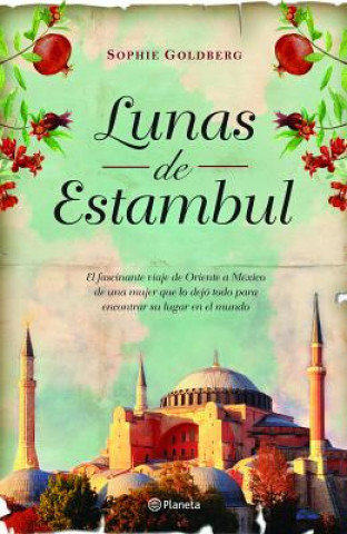 Lunas de Estanbul