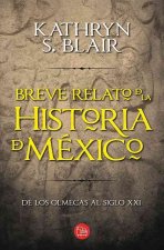 Breve Relato de La Historia de Mexico