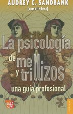 La Psicologia de Mellizos y Trillizos: Una Guia Profesional = Twins and Triplets Psychology