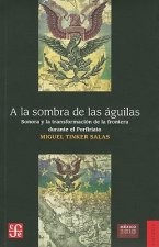 a la Sombra de las Aguilas: Sonora y la Transformacion de la Frontera Durante el Porfiriato = In the Shadow of the Eagles