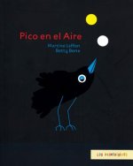 Pico En El Aire