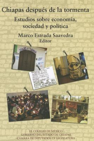 Chiapas Despues de la Tormenta: Estudios Sobre Economia, Sociedad y Politica