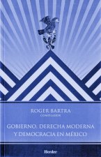 GOBIERNO. DERECHA MODERNA Y DEMOCRACIA EN MEXICO(9786077727019)