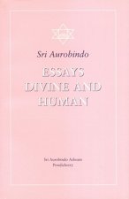 Essays Divine and Human