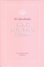 Essays Divine and Human