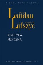 Kinetyka fizyczna