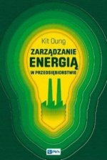 Zarzadzanie energia w przedsiebiorstwie