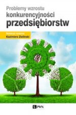 Problemy wzrostu konkurencyjnosci przedsiebiorstw