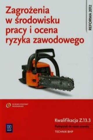 Zagrozenia w srodowisku pracy i ocena ryzyka zawodowego Podrecznik do nauki zawodu Kwalifikacja Z.13.3