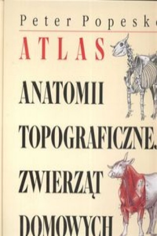 Atlas anatomii topograficznej zwierzat domowych