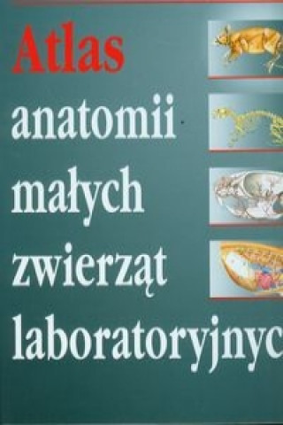 Atlas anatomii malych zwierzat laboratoryjnych