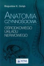 Anatomia czynnosciowa osrodkowego ukladu nerwowego