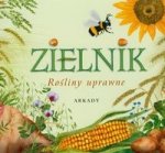 Zielnik Rosliny uprawne