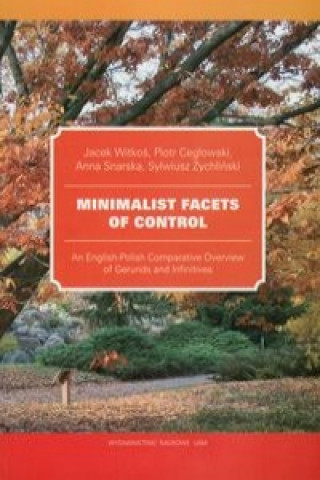 Minimalist Facets of Control