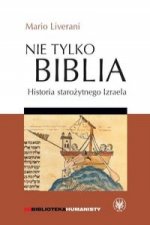 Nie tylko Biblia. Historia starozytnego Izraela
