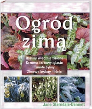 Ogrod zima