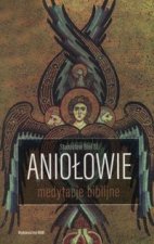 Aniolowie Medytacje biblijne