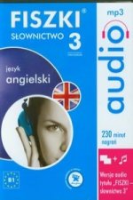 FISZKI audio Jezyk angielski Slownictwo 3