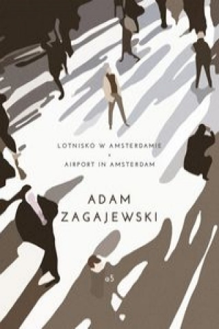 Lotnisko w Amsterdamie / Airport in Amsterdam