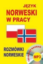 Jezyk norweski w pracy Rozmowki norweskie + CD