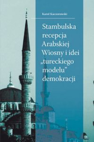 Stambulska recepcja Arabskiej Wiosny i idei 