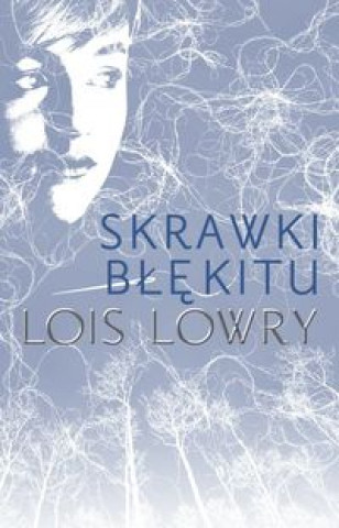 Skrawki blekitu