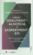 Miedzy dokumentalnoscia a eksperymentem