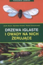 Drzewa iglaste i owady na nich zerujace