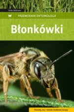 Blonkowki