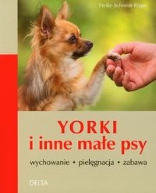 Yorki i inne male psy