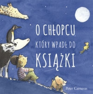 O chlopcu, ktory wpadl do ksiazki