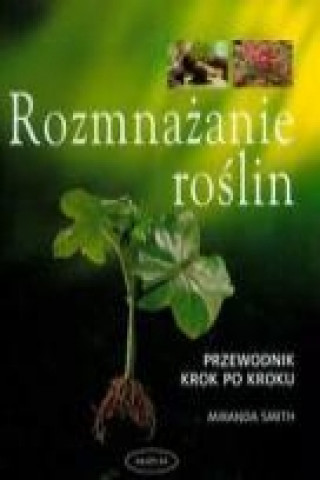 Rozmnazanie roslin przewodnik krok po kroku