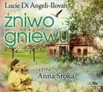 Zniwo gniewu