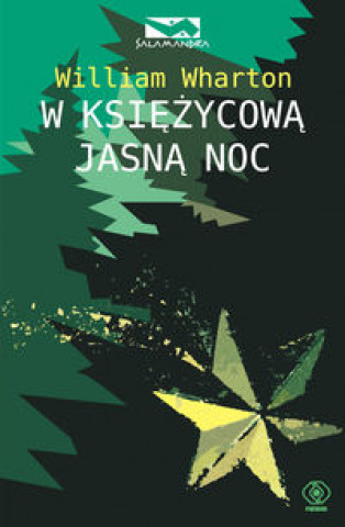 W ksiezycowa jasna noc