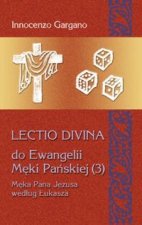Lectio Divina 19 Do Ewangelii Meki Panskiej 3