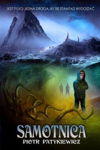 Samotnica (Patykiewicz Piotr)(Miękka)