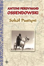 Sokol Pustyni