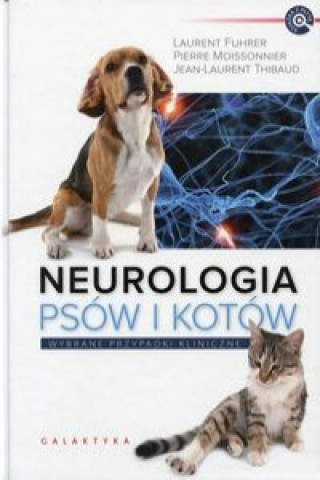 Neurologia psow i kotow