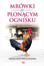 Mrowki w plonacym ognisku