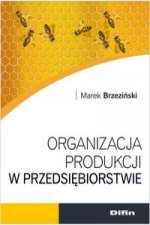 Organizacja produkcji w przedsiebiorstwie