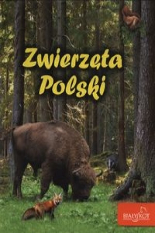 Zwierzeta Polski