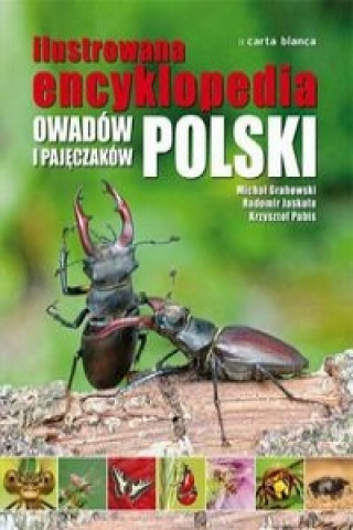 Ilustrowana encyklopedia owadow i pajeczakow