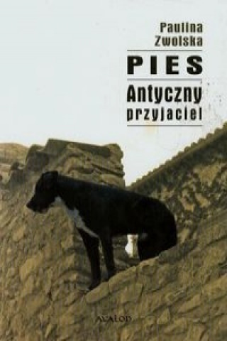 Pies Antyczny przyjaciel