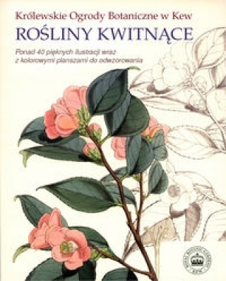 Rosliny kwitnace Krolewskie Ogrody Botaniczne w Kew