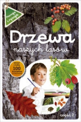 Drzewa naszych lasow czesc 2 Poznaje i rysuje