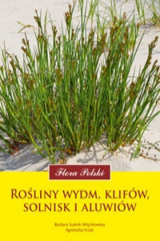 Rosliny wydm klifow solnisk i aluwiow