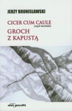 Cicer cum caule czyli lacinski Groch z kapusta