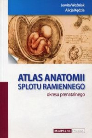 Atlas anatomii splotu ramiennego okresu prenatalnego